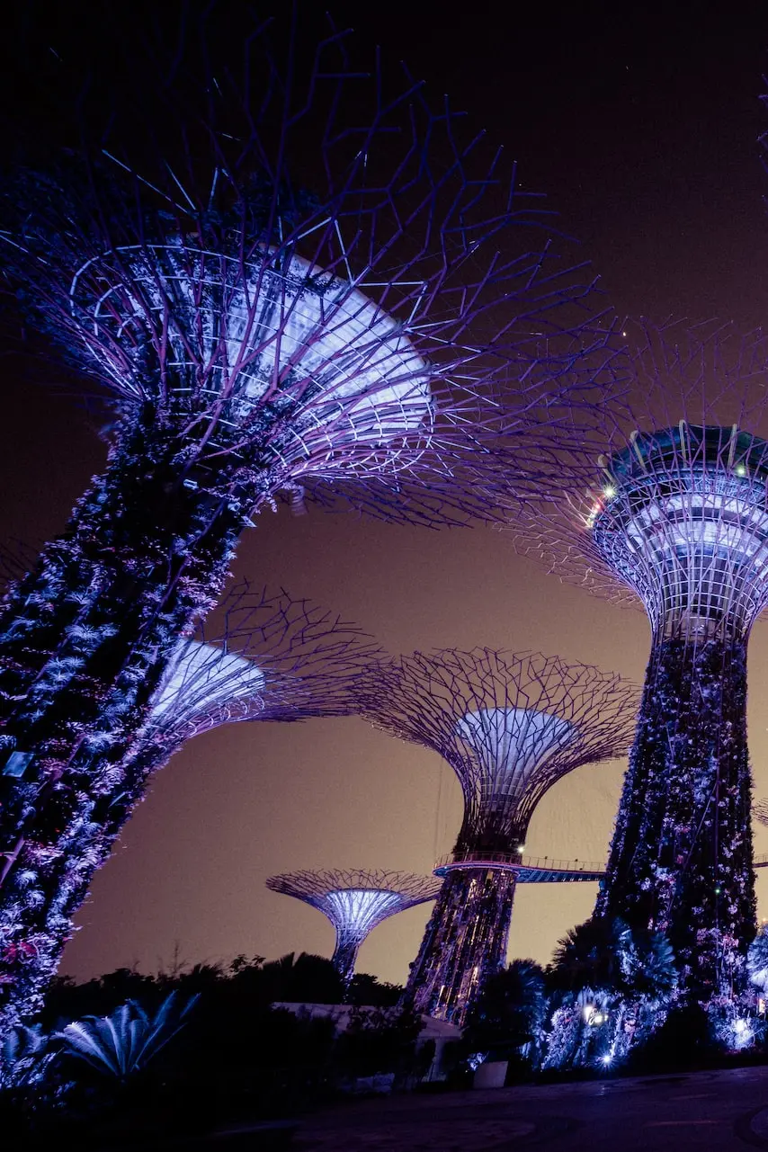 Singapore Forest Marine Bay